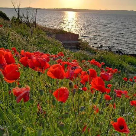 Casa Al Mare * Calasetta